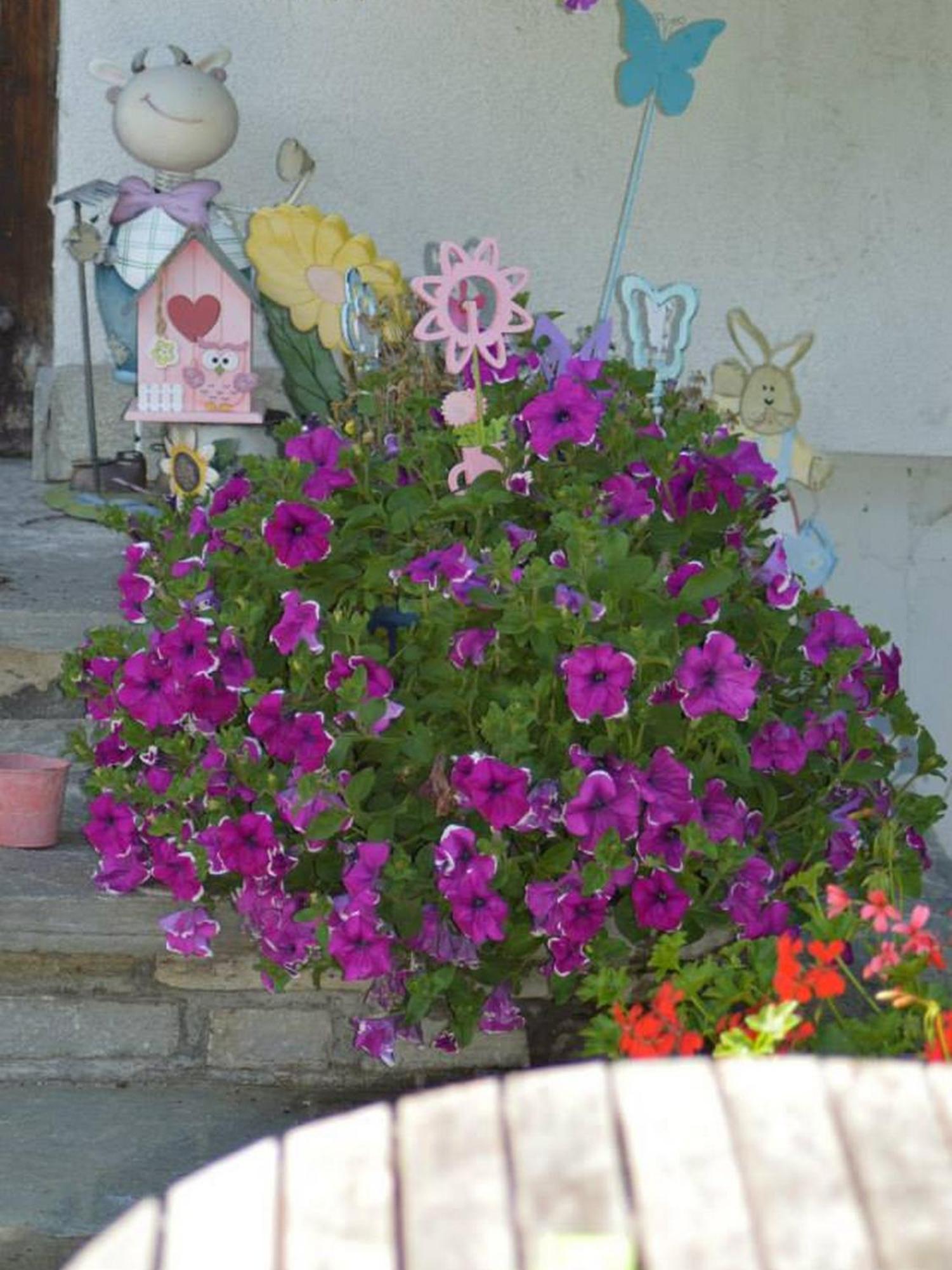 Haus Susanne ราดชตัดท์ ห้อง รูปภาพ